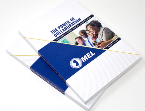 MEL Risk Mgt. Manual for public officials