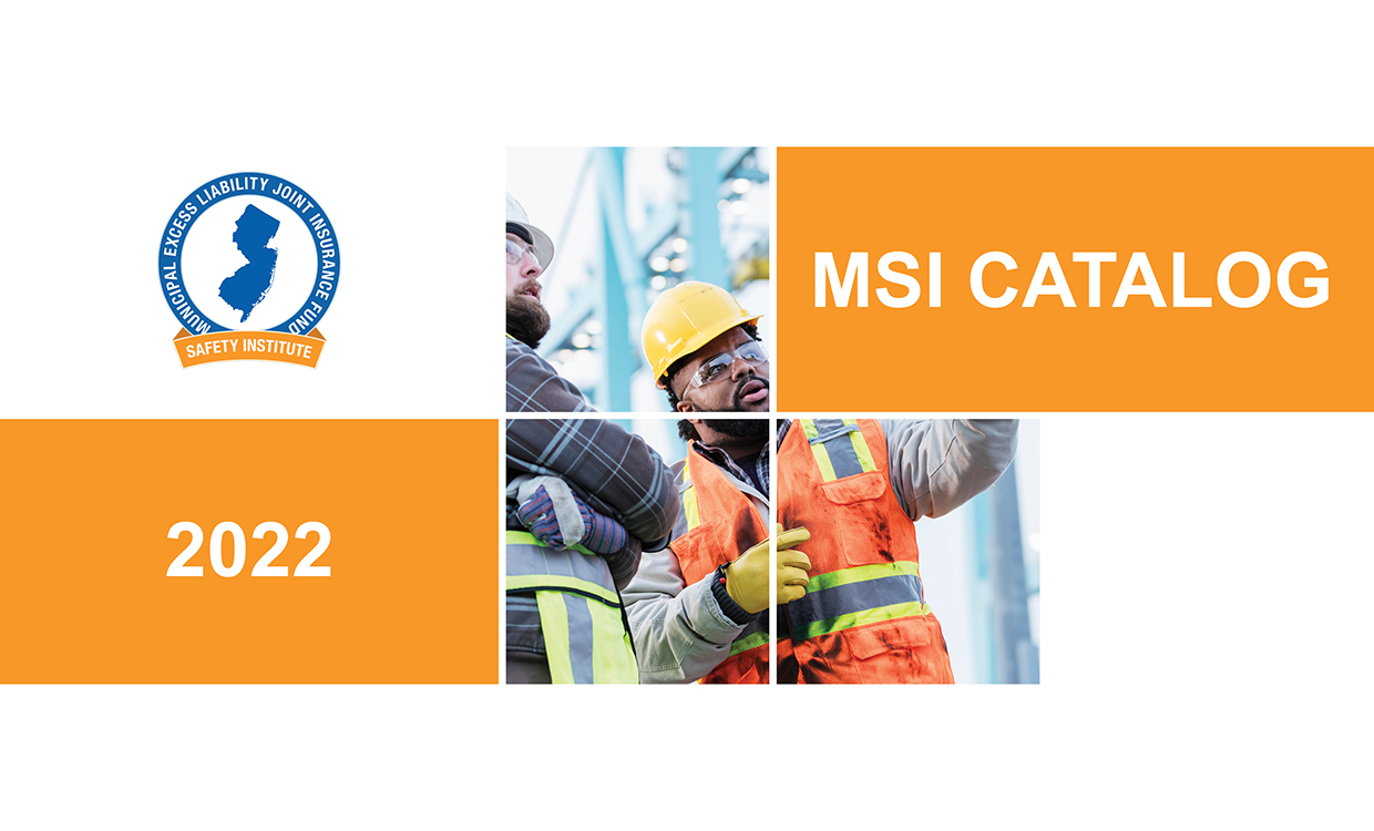 MSI Catalog MEL Safety Institute