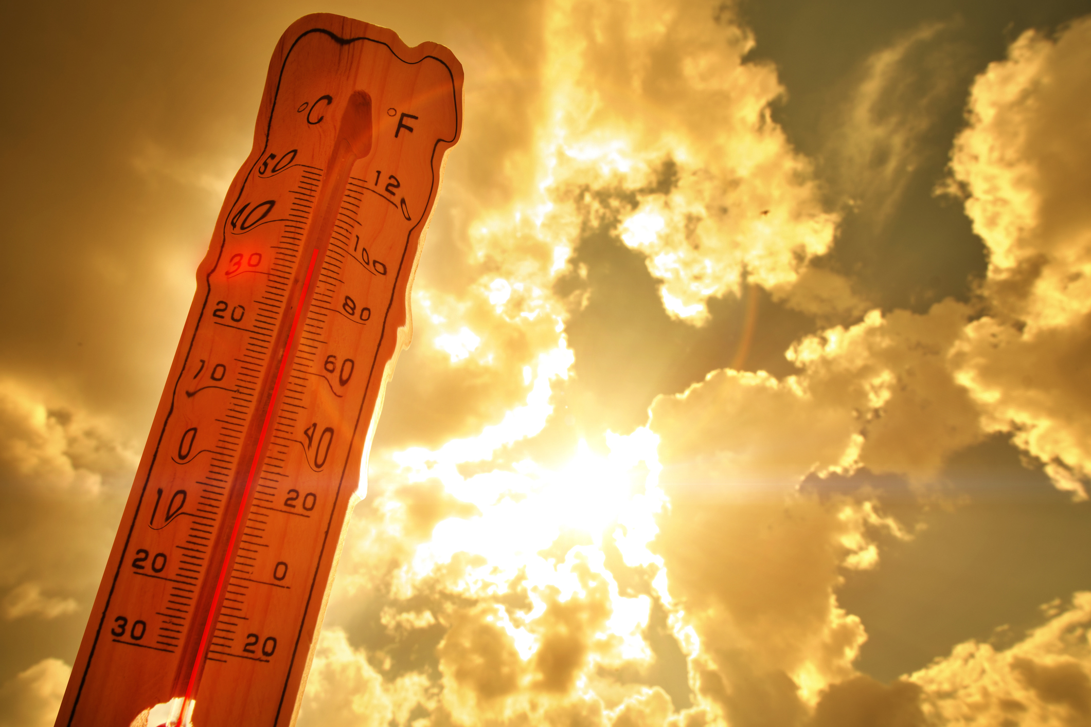 melting thermonmeter