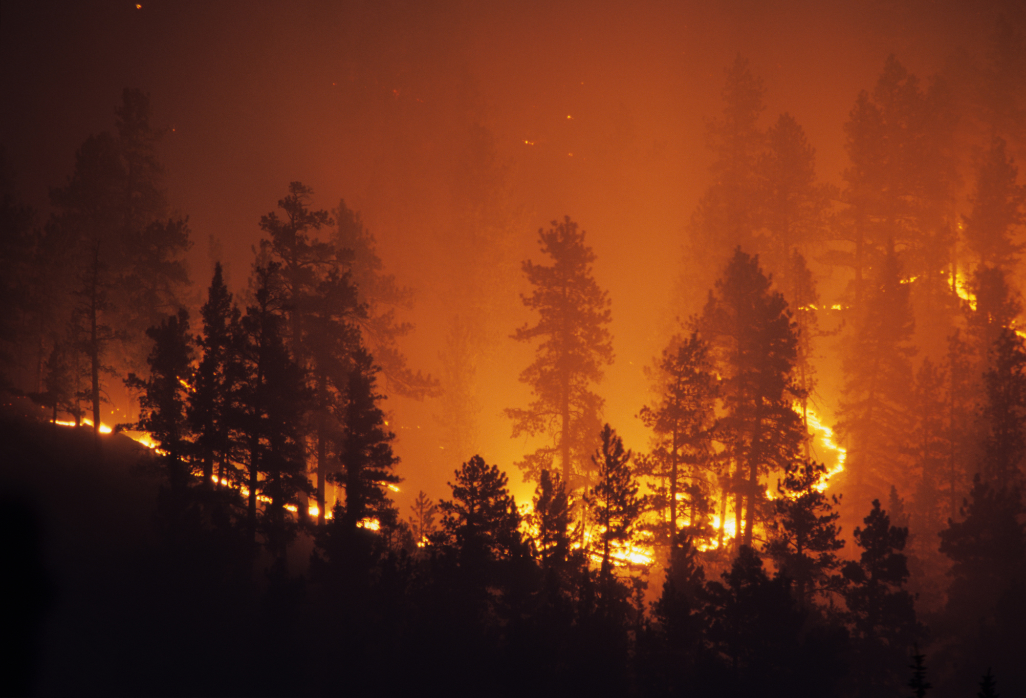 wildfire