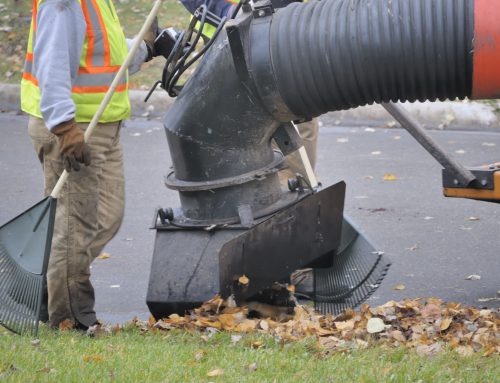 Leaf Collection Best Practices